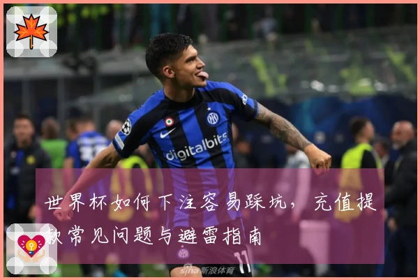 世界杯如何下注容易踩坑，充值提款常见问题与避雷指南