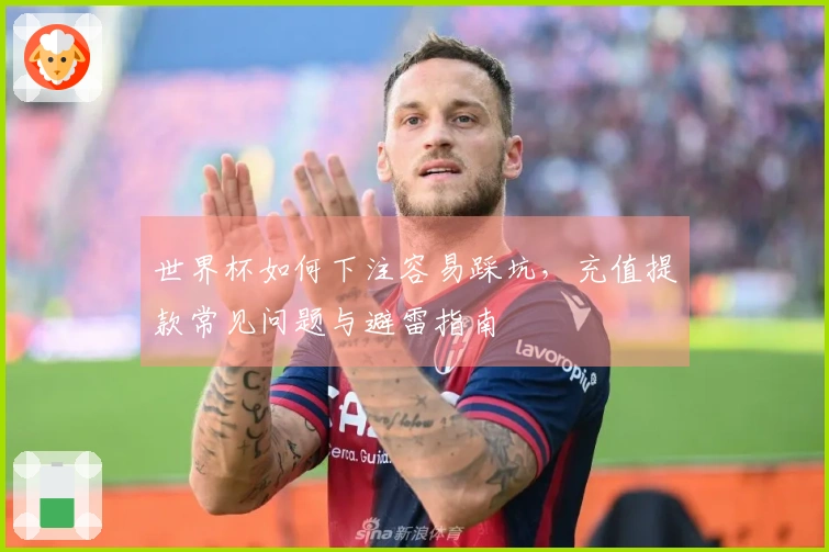 世界杯如何下注容易踩坑，充值提款常见问题与避雷指南