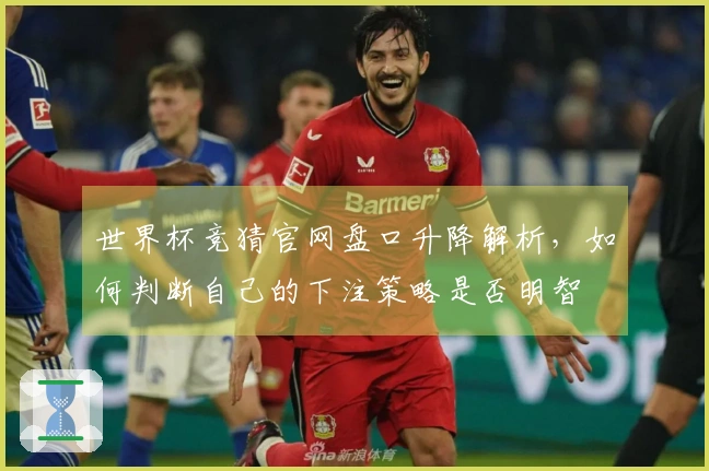 世界杯竞猜官网盘口升降解析，如何判断自己的下注策略是否明智
