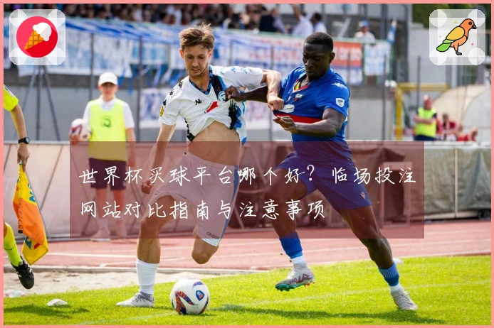 世界杯买球平台哪个好？临场投注网站对比指南与注意事项