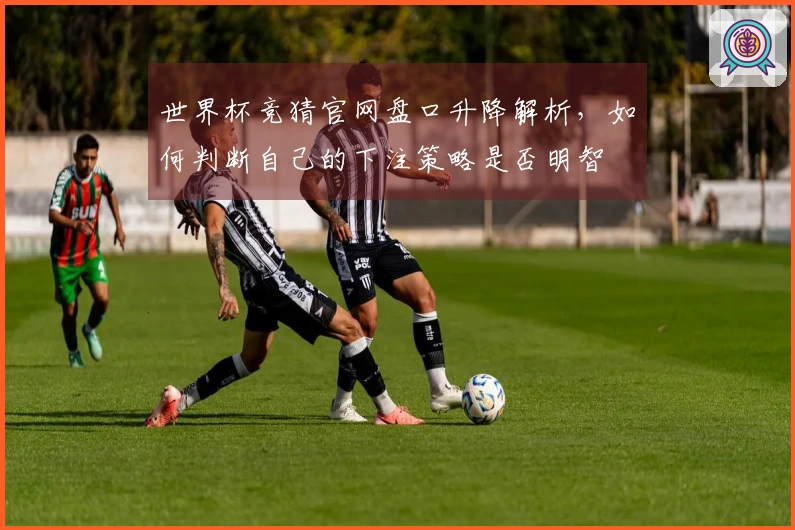 世界杯竞猜官网盘口升降解析，如何判断自己的下注策略是否明智