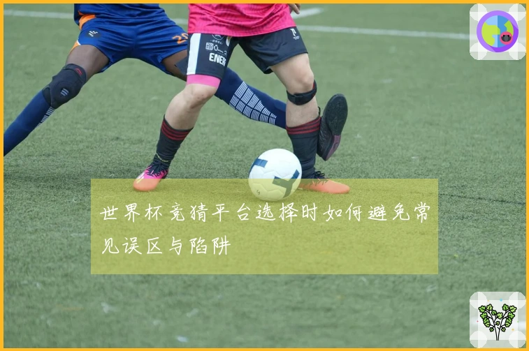 世界杯竞猜平台选择时如何避免常见误区与陷阱